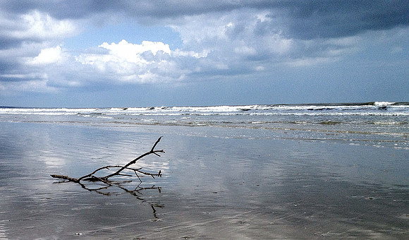 Beachwalker park Charleston