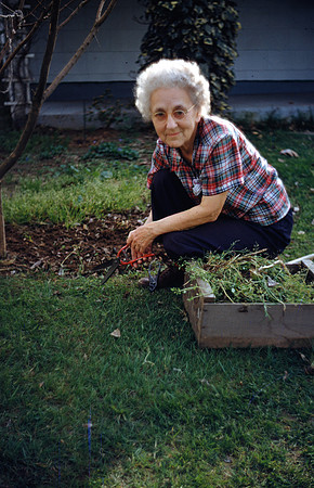 Aunt Sue. Lee's fathers' sister