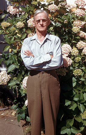 Matt Stephens
